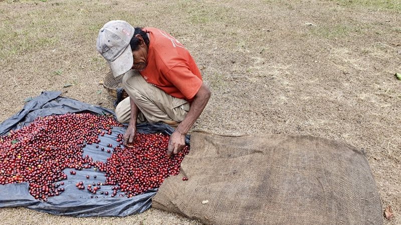 Huehuetenango Region Guatemala
