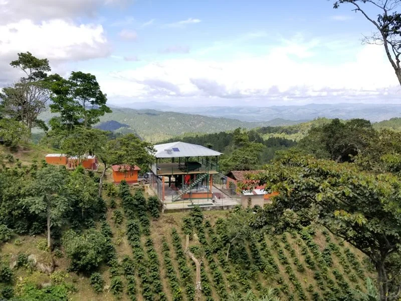 Guatemala Origins